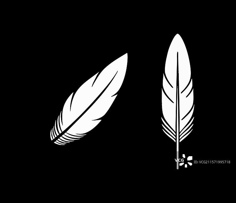 基本的轻量羽毛图标图片素材