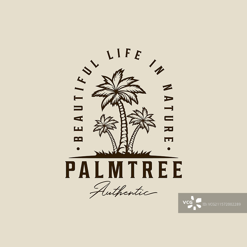 复古模板图标的棕榈树或椰子树标志图片素材