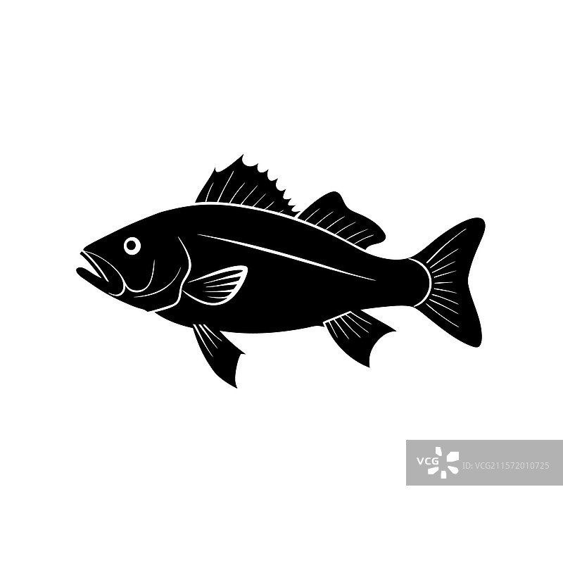 海鲈鱼剪影艺术与黑海鲈鱼图片素材