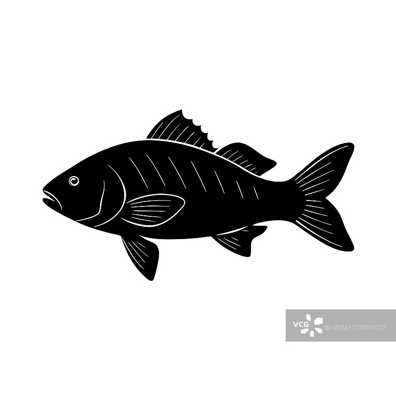 黑色鲷鱼剪影艺术设计图片素材