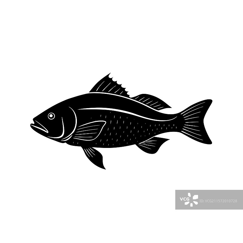 黑色鲷鱼剪影艺术设计图片素材