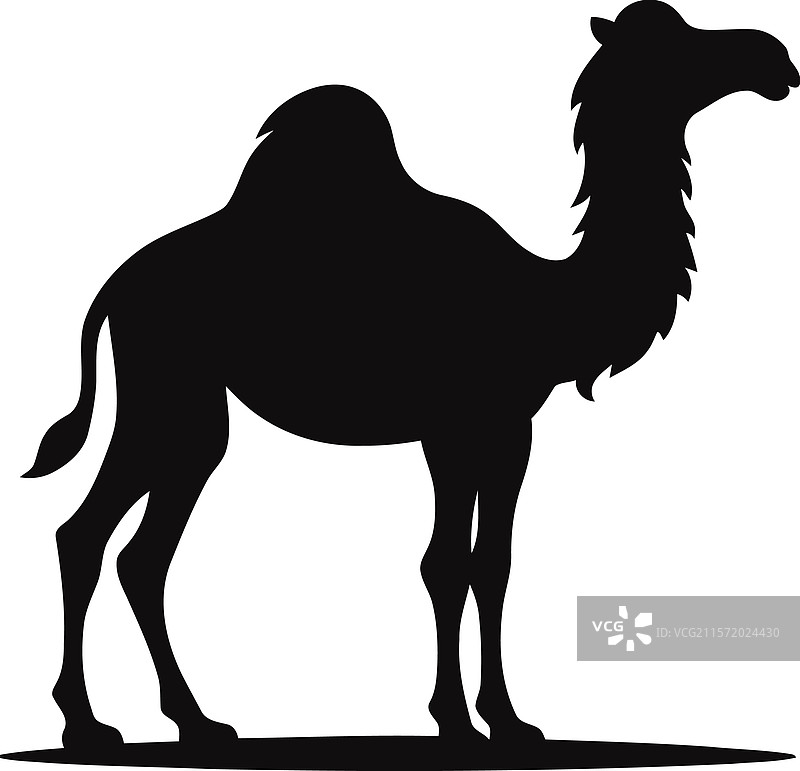 单峰骆驼剪影图片素材