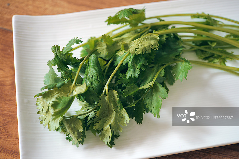 新鲜的香菜 静物特写图片素材