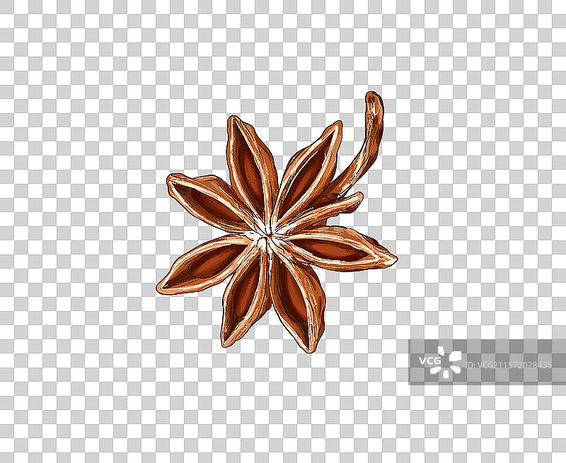 中药香料调味料八角插画免扣元素图片素材
