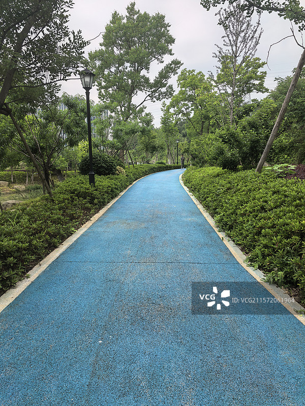 城市公园绿道图片素材