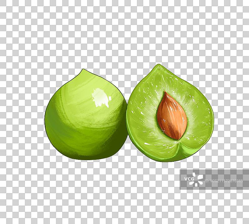 青梅插画免扣素材图片素材
