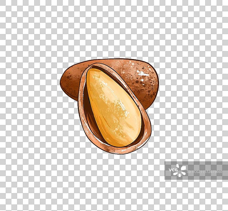 松子插画免扣素材图片素材