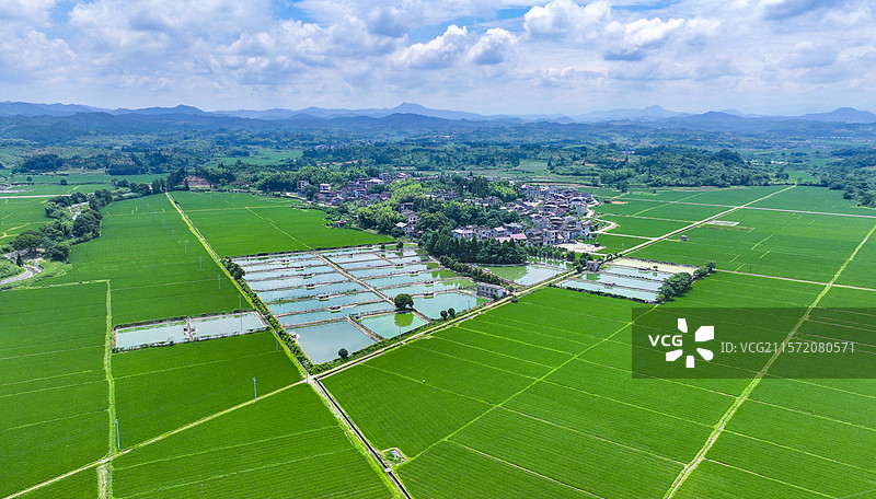江西省抚州市南丰县莱溪乡黄满村，翠绿的稻田与道路、山峦、民居相映成景，呈现出一幅新时代生态和美的乡村图片素材
