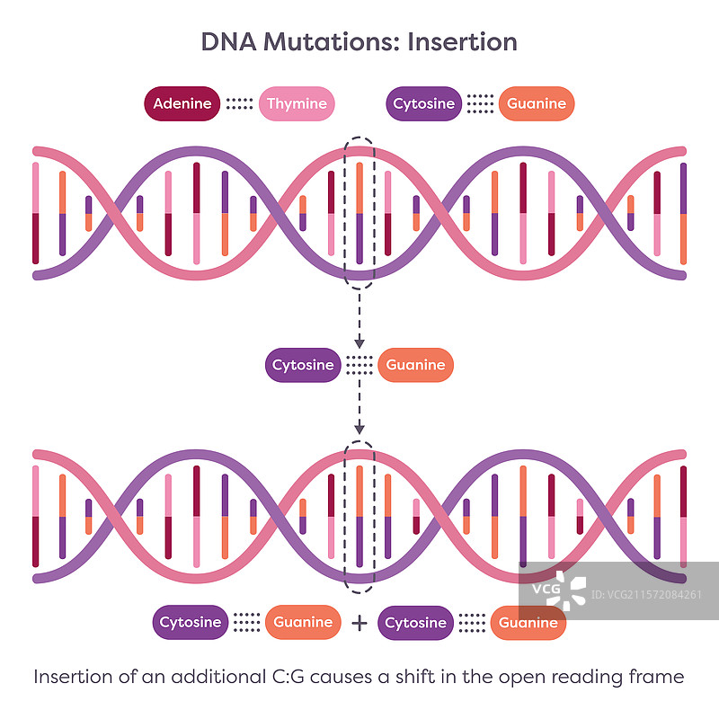 DNA突变插入图片素材
