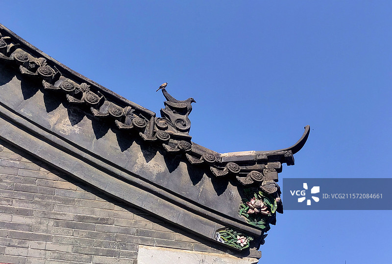 屋檐上的鸟与“鸟”——拍摄于呼和浩特回民区图片素材