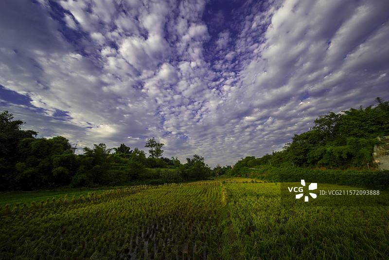 隆昌市沙子坡图片素材