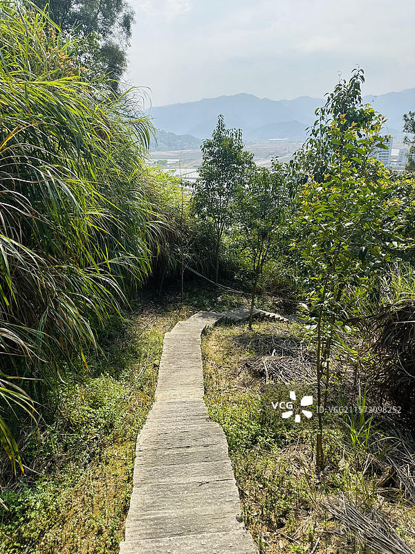 福州罗源湾特大桥图片素材