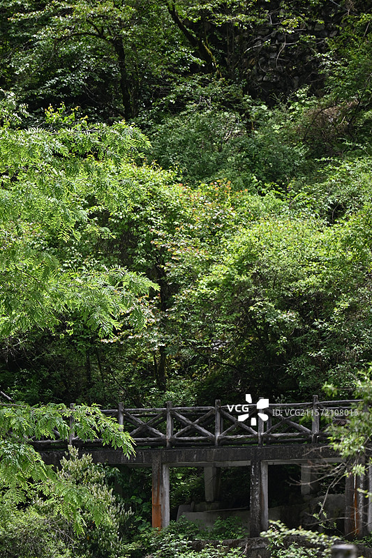 雅安二郎山喇叭河景区图片素材