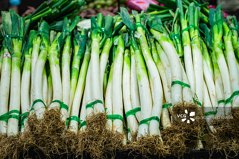中国水果果蔬拍摄主题，超级市场零售的一捆绿山东章丘大葱，室内无人图像摄影图片素材