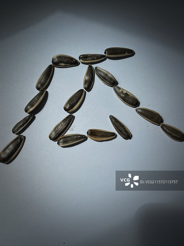 瓜子的花图片素材