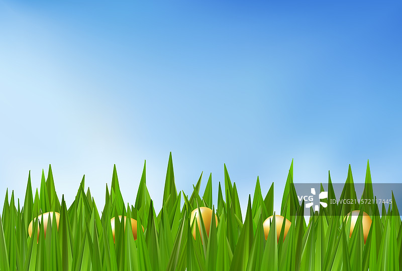 春天草地里的复活节彩蛋狩猎图片素材