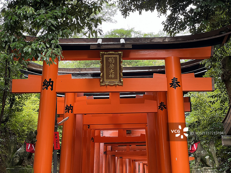 日本传统建筑神社的鸟居（京都伏见稻荷大社））图片素材