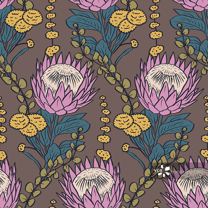 无缝图案，手绘粉色普罗提亚花图片素材