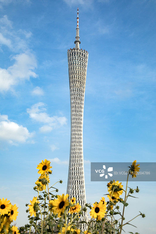 广州城市风光地标建筑小蛮腰珠江新城广州塔图片素材
