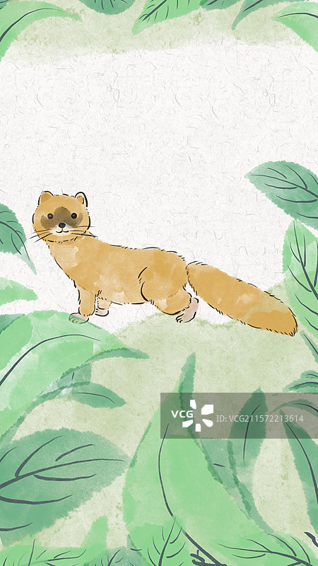 可爱水彩手绘风动物插画壁纸-黄鼠狼图片素材