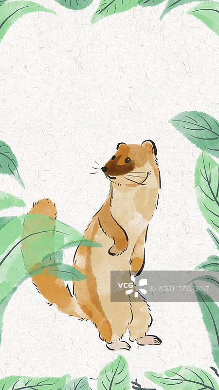可爱水彩手绘风动物插画壁纸-黄鼠狼图片素材