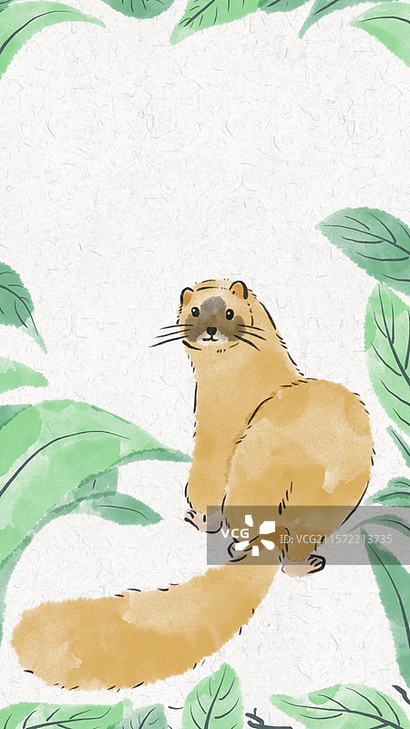 可爱水彩手绘风动物插画壁纸-黄鼠狼图片素材