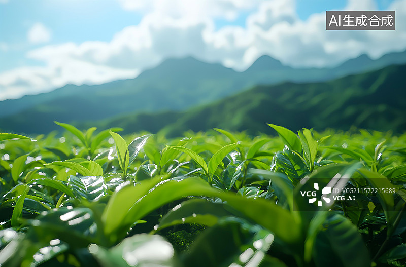【AI数字艺术】光影洒落鲜绿茶叶锯齿叶缘清晰叶脉凸显尽显蓬勃生机，远山背景图片素材