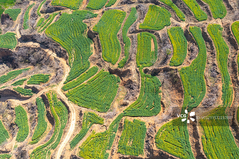 春天的乡村梯田景观、北方农村丘陵地形图片素材