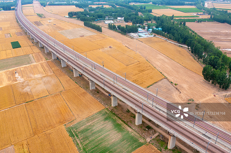 高铁飞驰穿越丰收的麦田图片素材