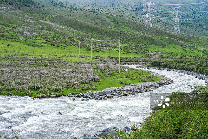 川西木雅圣地自然风光，山边河畔与盛开的杜鹃花图片素材