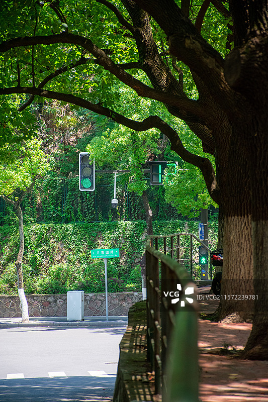 南京的初夏，绿色的树荫和斜坡，和动画里的《言叶之庭》很像图片素材