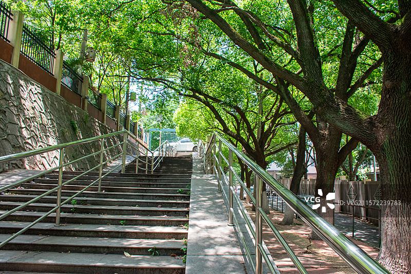 南京的初夏，绿色的树荫和斜坡，和动画里的《言叶之庭》很像图片素材