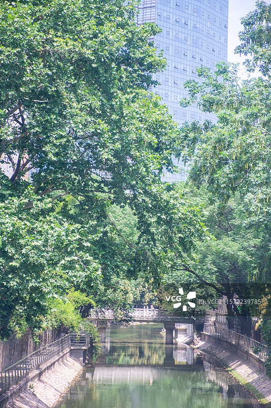 南京的初夏，绿色的树荫和斜坡，和动画里的《言叶之庭》很像图片素材