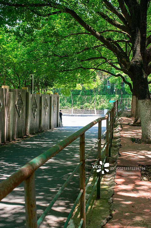 南京的初夏，绿色的树荫和斜坡，和动画里的《言叶之庭》很像图片素材