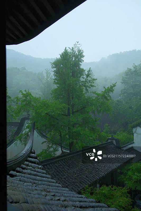 不入虎跑 怎知江南图片素材