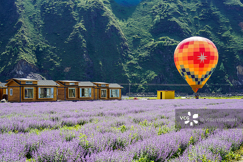 新都桥香薰谷，薰衣草花田、小木屋、热气球图片素材