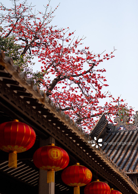 农讲所番禺学宫屋檐红灯笼和背景的木棉花图片素材