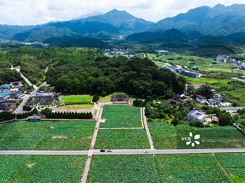 上杭古田会议会址夏日百亩荷塘清凉图片素材