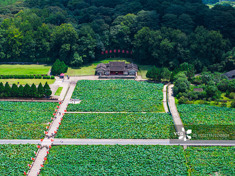 上杭古田会议会址夏日百亩荷塘清凉图片素材