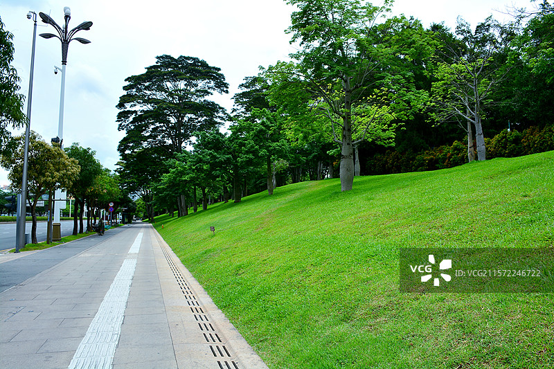 深圳莲花山公园汽车广告婚纱摄影图片素材