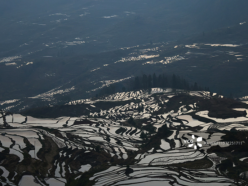 清晨的多依树梯田，拍摄于云南省红河州元阳县多依树梯田图片素材