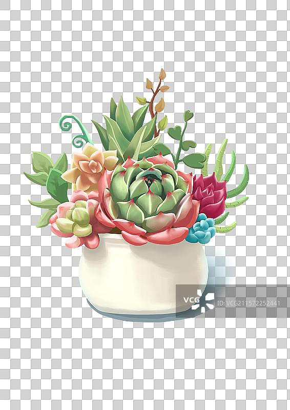 多肉植物插花图片素材