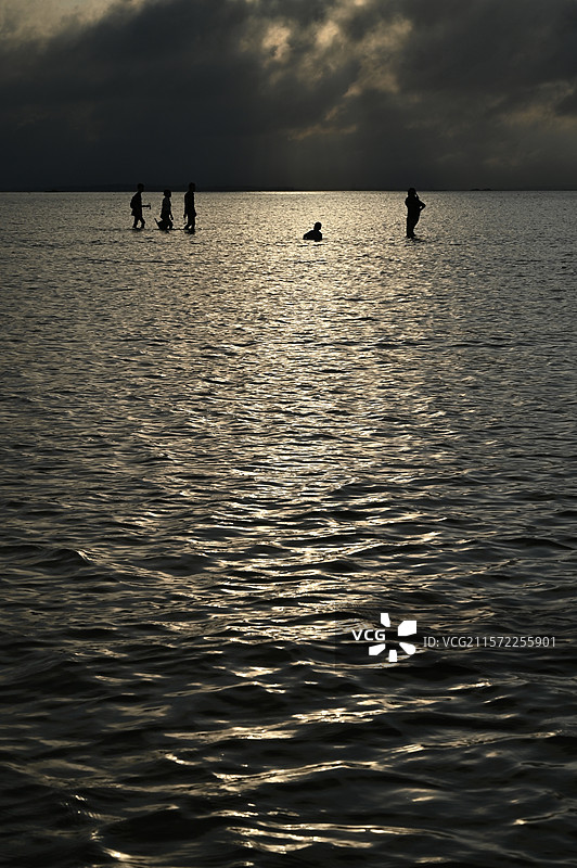 退潮的海图片素材