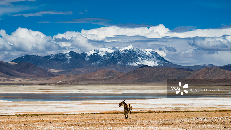 西藏羌塘、山南、那区图片素材