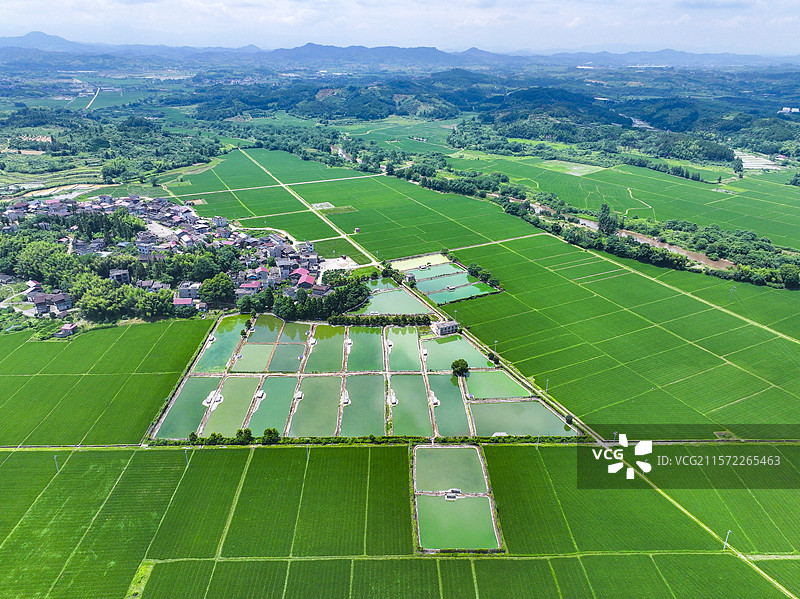 江西省抚州市南丰县莱溪乡黄满村，翠绿的稻田与道路、山峦、民居相映成景，呈现出一幅新时代生态和美的乡村图片素材