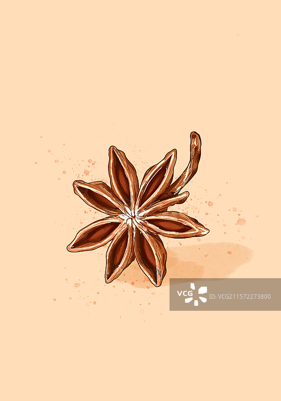 中药香料调味料八角插画海报图片素材