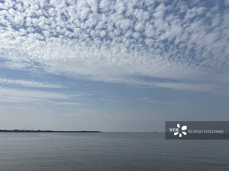 苏州市浏河镇七十二家理想村金色麦田图片素材