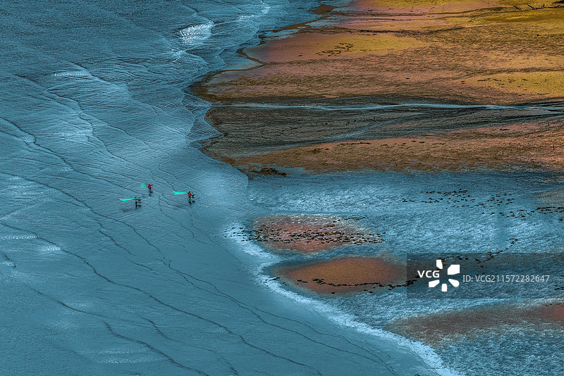 滩涂之舞图片素材