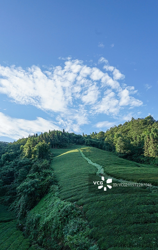 蓝天白云下的山林田园风光图片素材