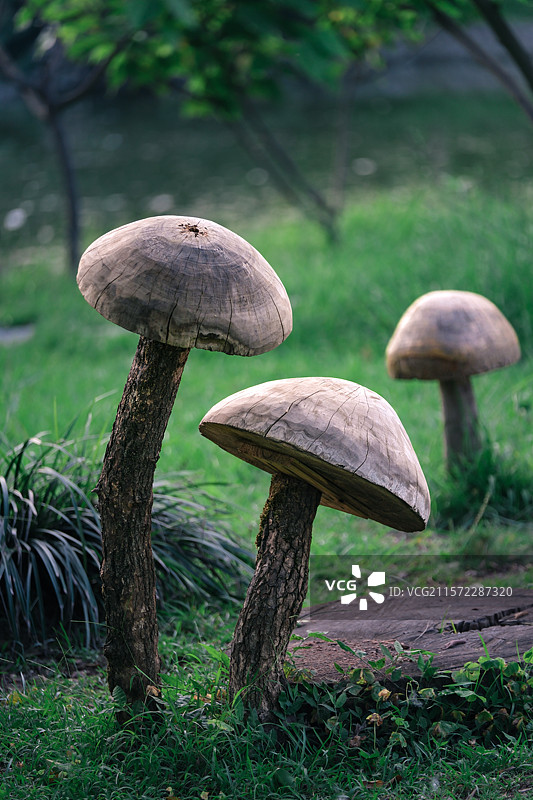 柳州都乐公园里的创意木质蘑菇摆件图片素材